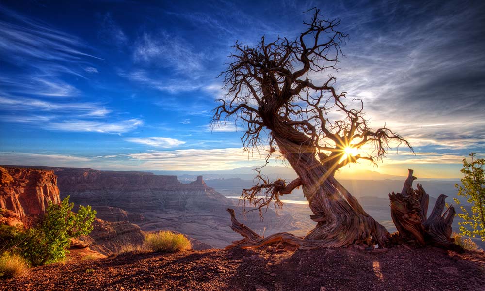 Dead Horse Point State Park