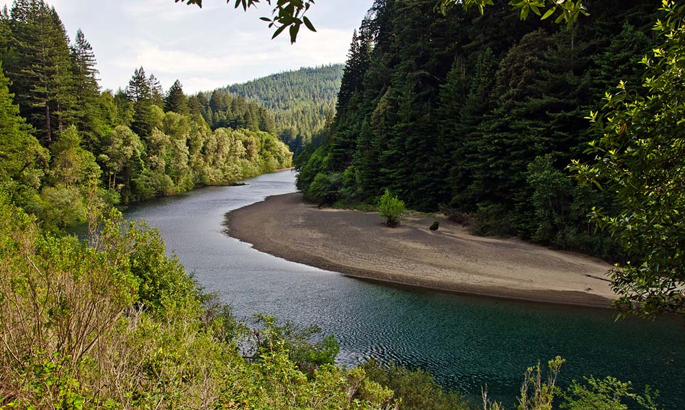 Humboldt Redwoods State Park