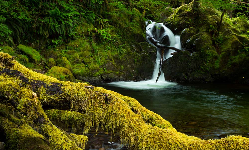 Olympic National Park