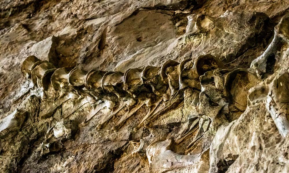 Dinosaur National Monument