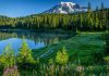 Mount Rainier National Park