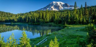 Mount Rainier National Park