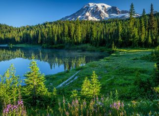 Mount Rainier National Park