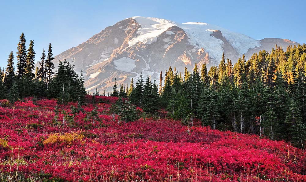 Mount Rainier National Park