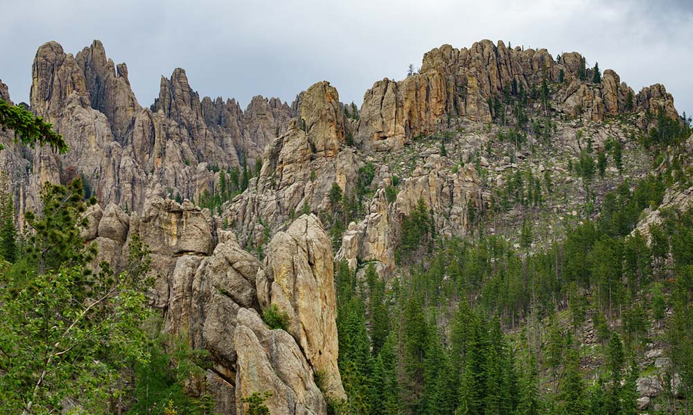 Custer State Park