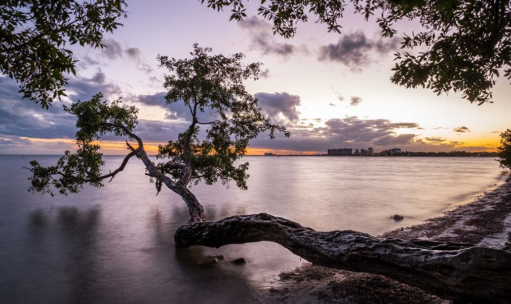 quartiers de Miami