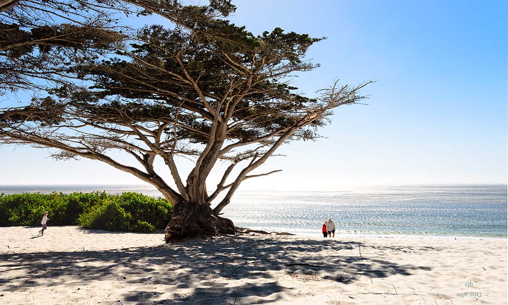 Carmel-by-the-Sea