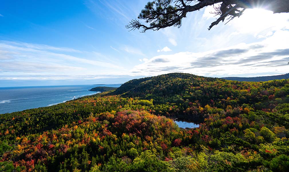 Bar Harbor