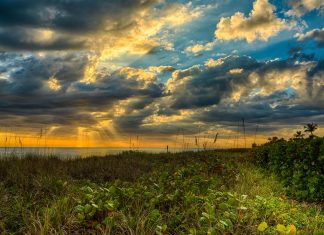 sanibel island