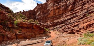 jeep dans les canyons de moab en utah